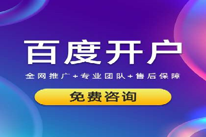 竞价广告的技巧与策略：网络推广的经典案例分享